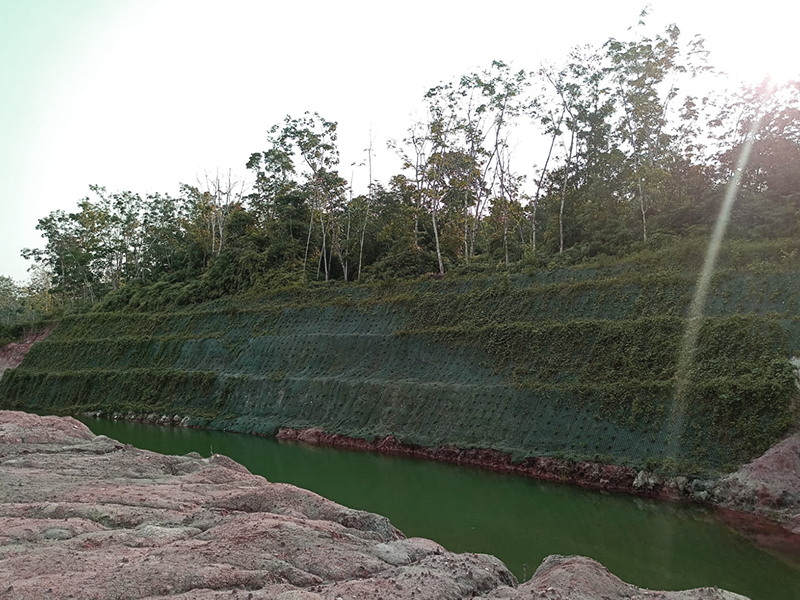 BEVA GREENMATT® Batang Asai